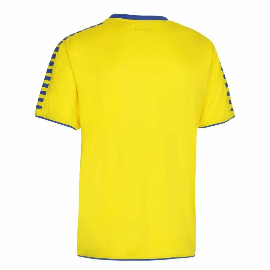 Teamsport * | Online Select Playershirt Argentina Yellow/Blue